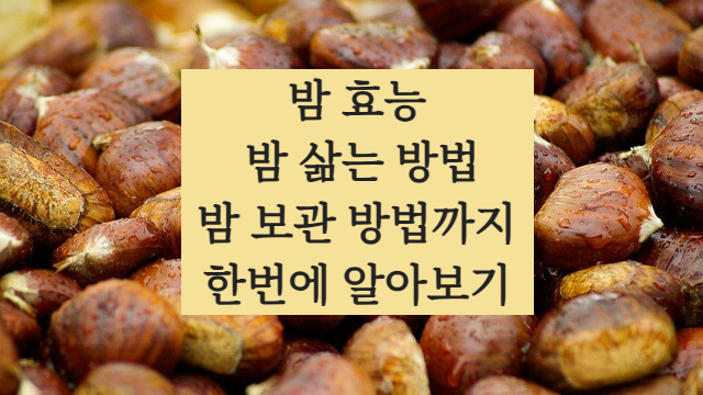 밤의 효능, 밤 삶는 법, 밤 보관하는 방법