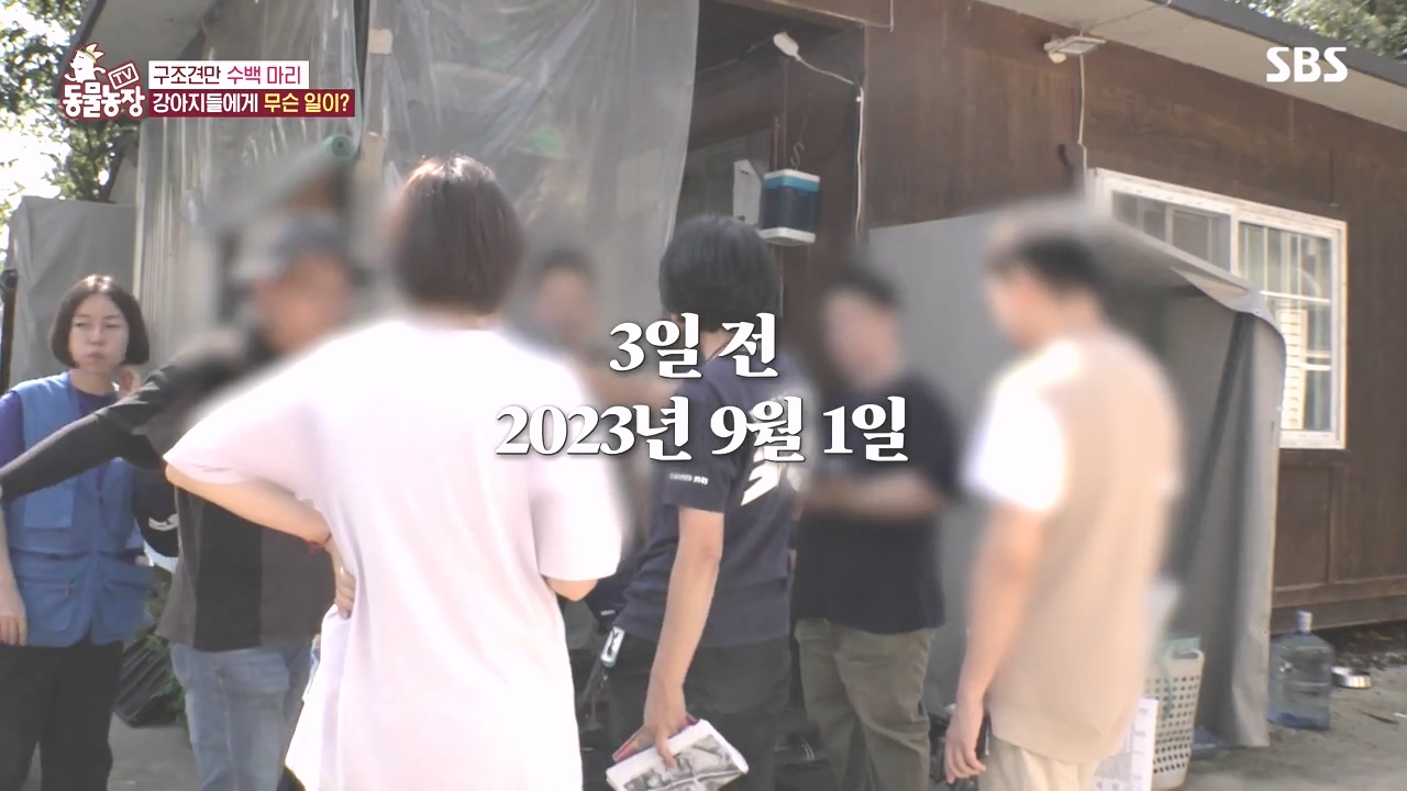 TV 동물농장.E1142.231023p-NEXT.mp4_20231022_171855.444.jpg