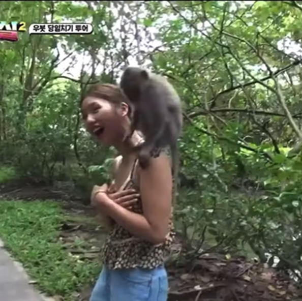 원숭이의 숲 말고 민가에서도 자주 보인다는 요즘 발리 여행 근황 | 인스티즈
