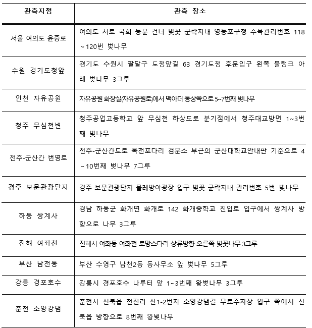 벚꽃 피는 시기