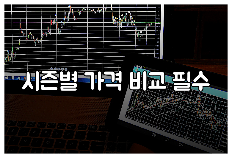 시즌별 가격 비교 필수