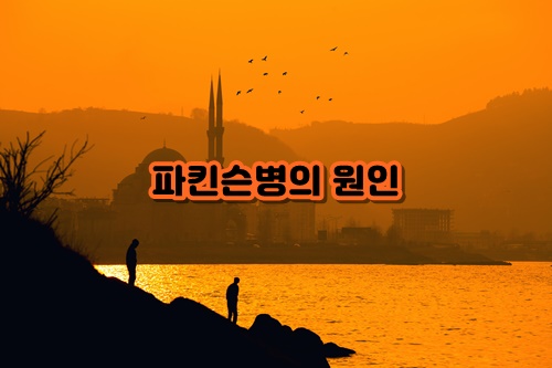  파킨슨병의 원인