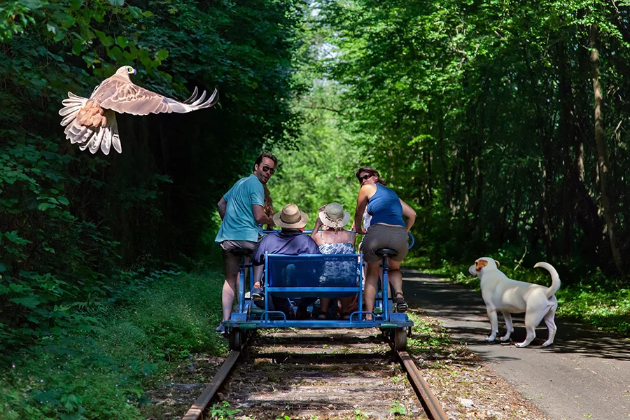 어도비 포토샵 CC 2024에서 생성형 ai를 통해서 독수리를 넣은 모습