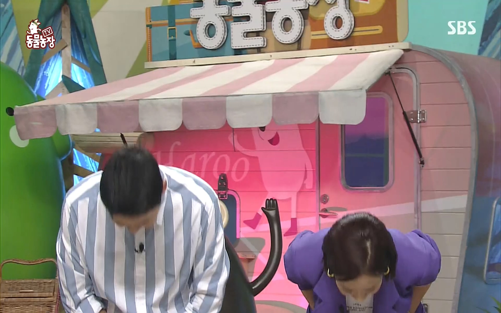 TV 동물농장.E1089.221002p.H264-F1RST.mp4_20221002_181946.388.jpg