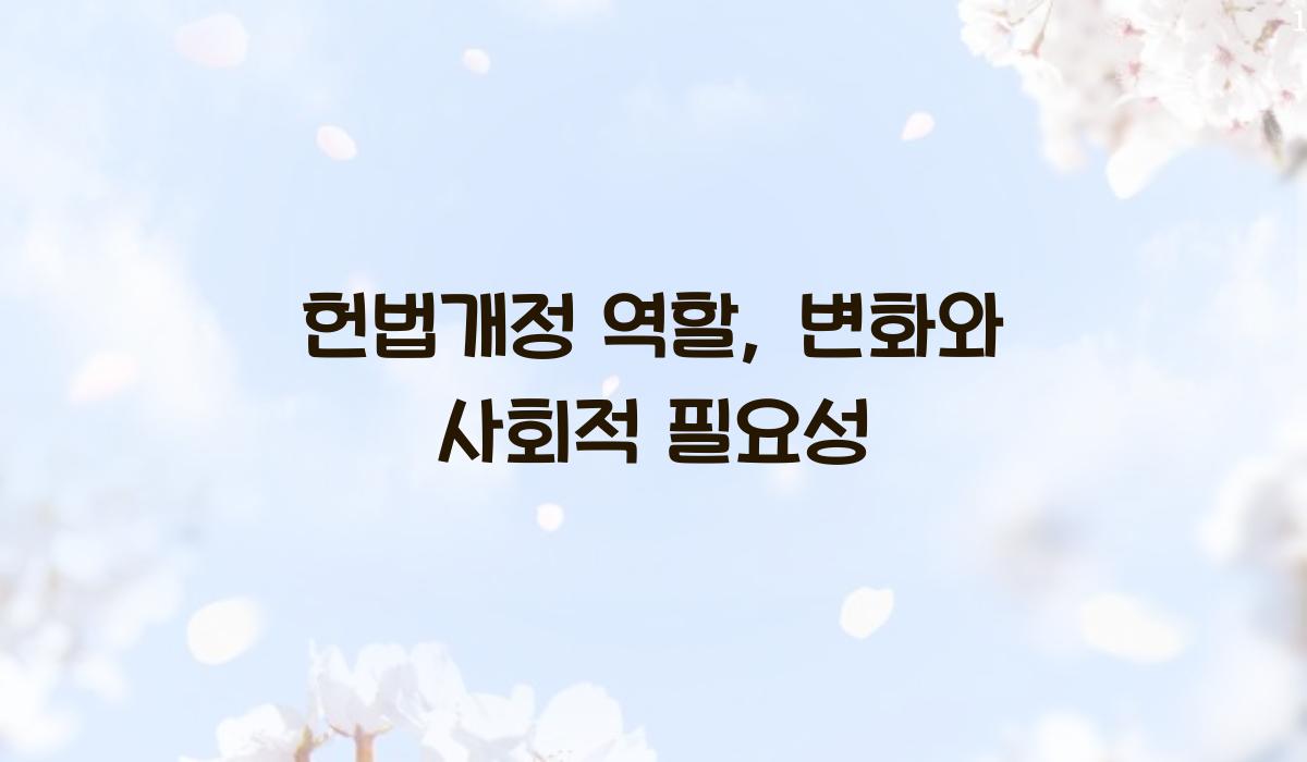 헌법개정 역할