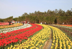 화담숲 예약방법
