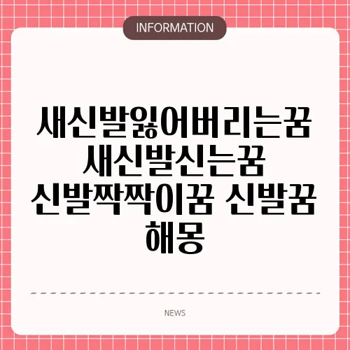 새신발잃어버리는꿈 새신발신는꿈 신발짝짝이꿈 신발꿈 해몽