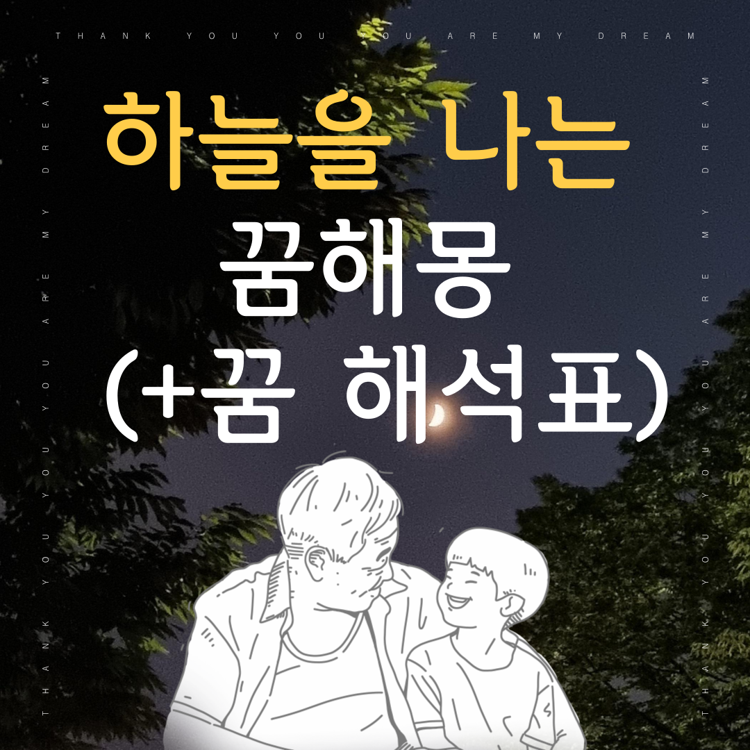 하늘을 나는 꿈해몽 ( + 꿈 세부 상황 해석표)