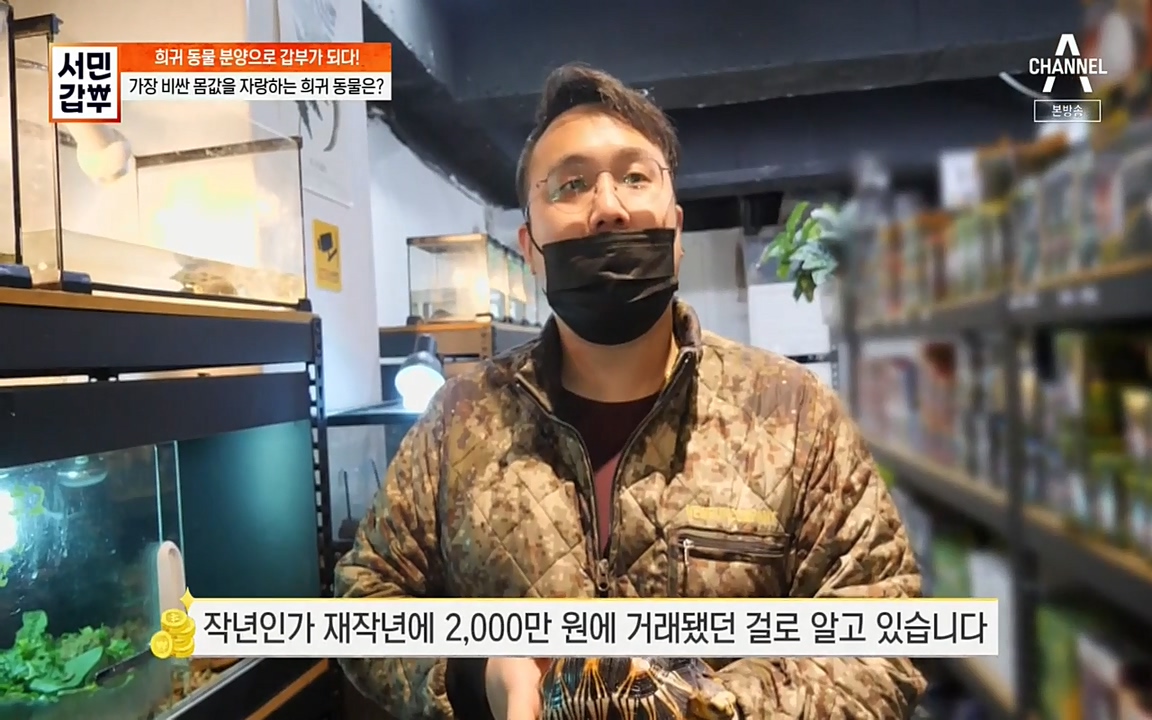 서민 갑부.E381.220431p-NEXT.mp4_20220501_174541.290.jpg