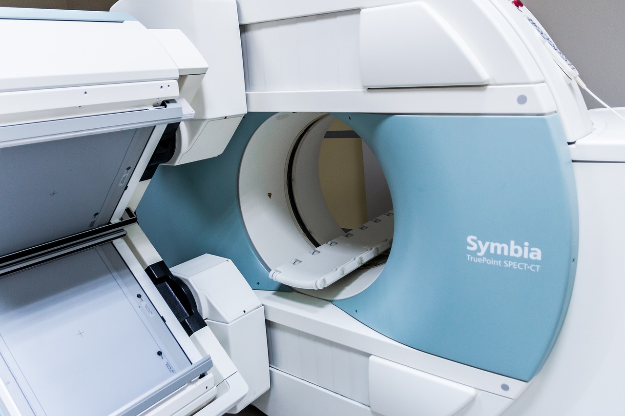MRI 사진
