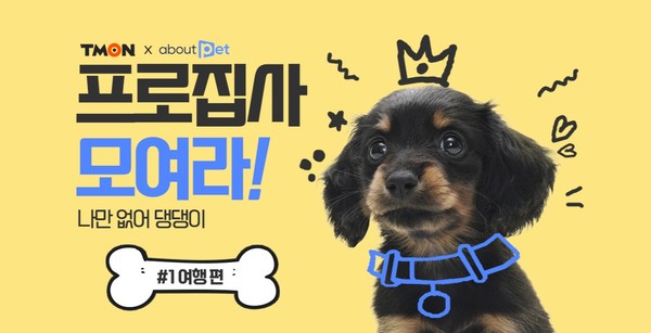  티몬 프로집사 모여라! 반려동물 전문 콘텐츠 실시