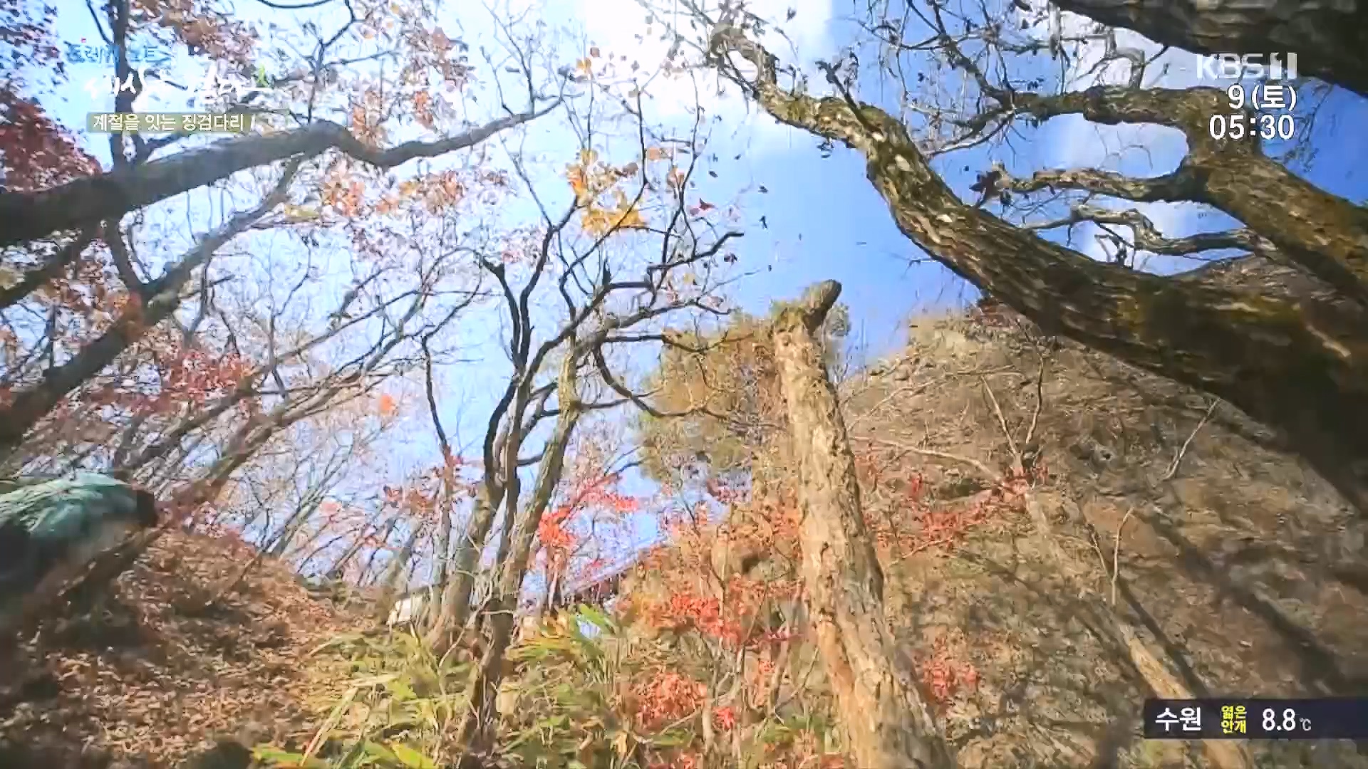 트레킹노트 세상을 걷다.E298.231209p.H264-F1RST.mp4_20240105_205423.290.jpg