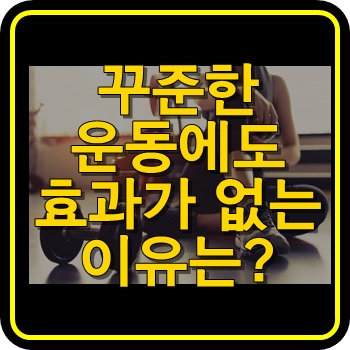  운동효과가 없는 이유
