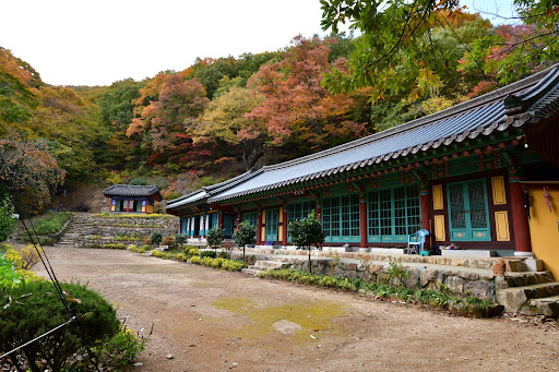 포항 운제산 오어사