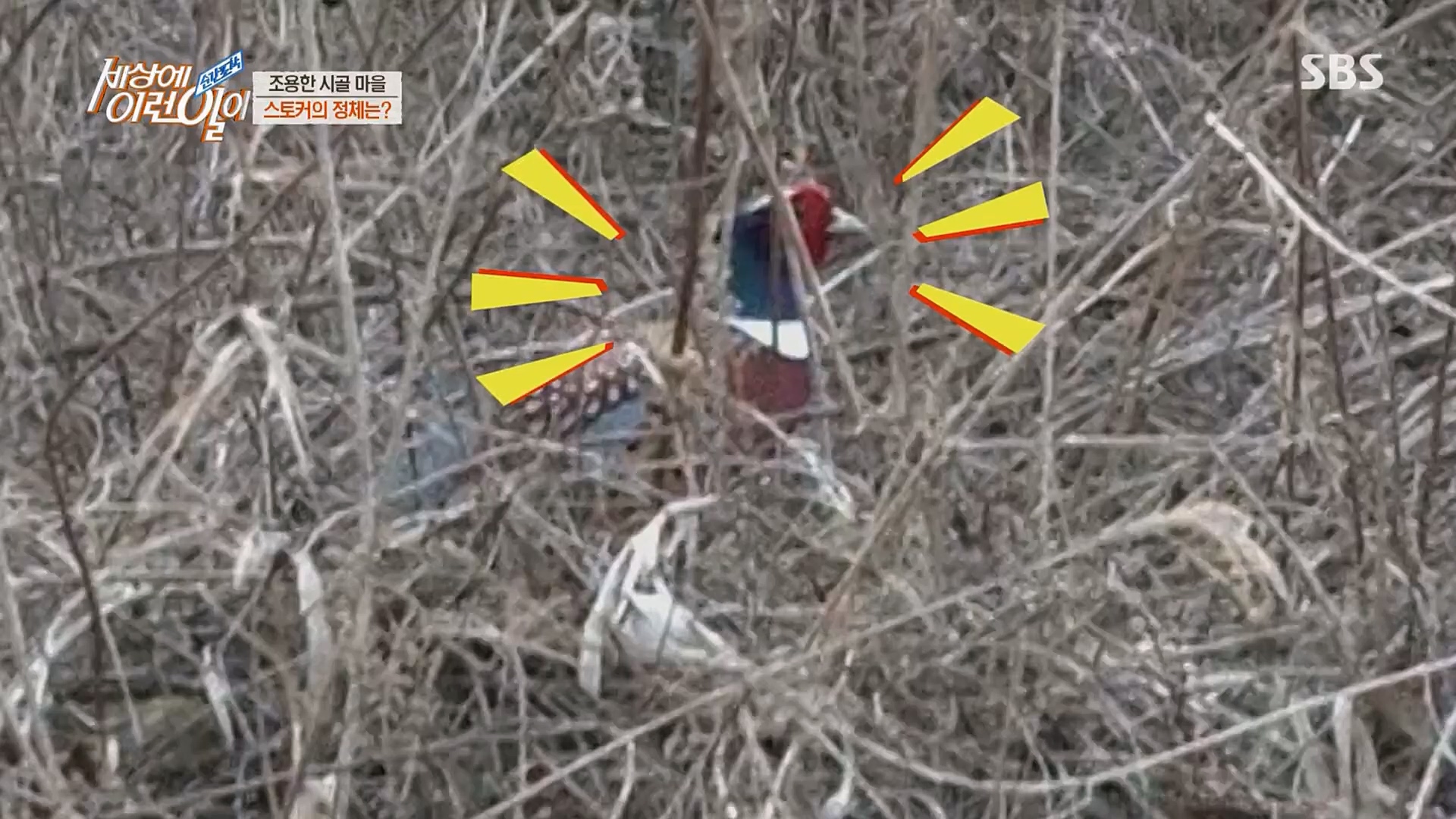 순간포착 세상에 이런일이.E1224.230404p.H264-F1RST.mp4_20230405_193508.204.jpg