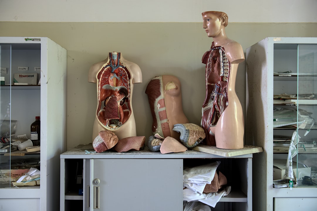 Liver