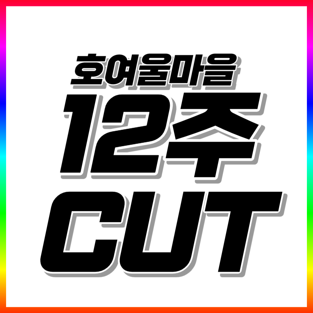  보람동 중학생 영어과외 호여울마을 고등학생 수학과외 전과목 일대일 맞춤수업
