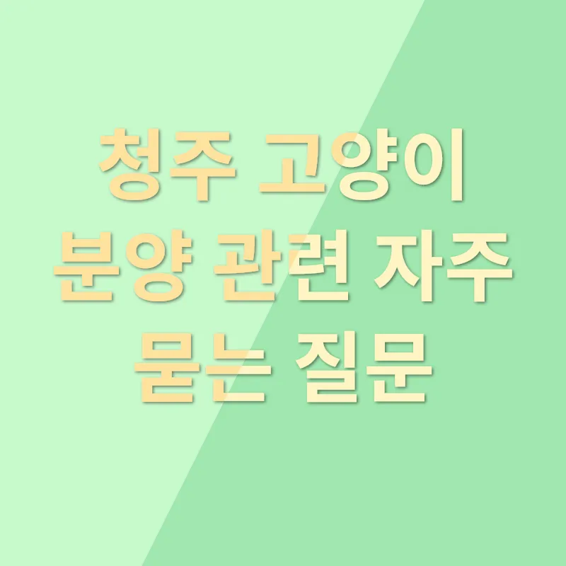 청주 고양이 분양_4