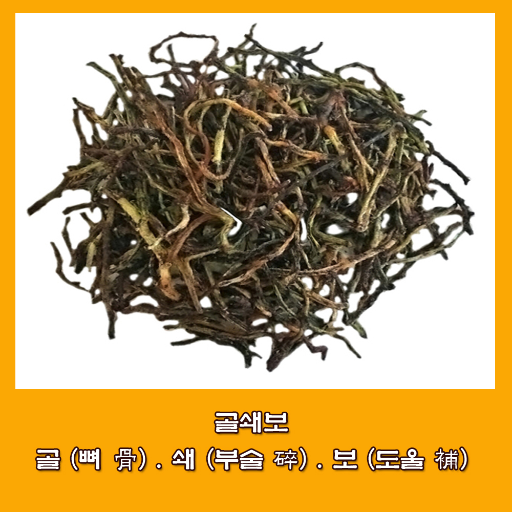  골쇄보.골쇄보 효능.골쇄보 복용법.뼈 건강