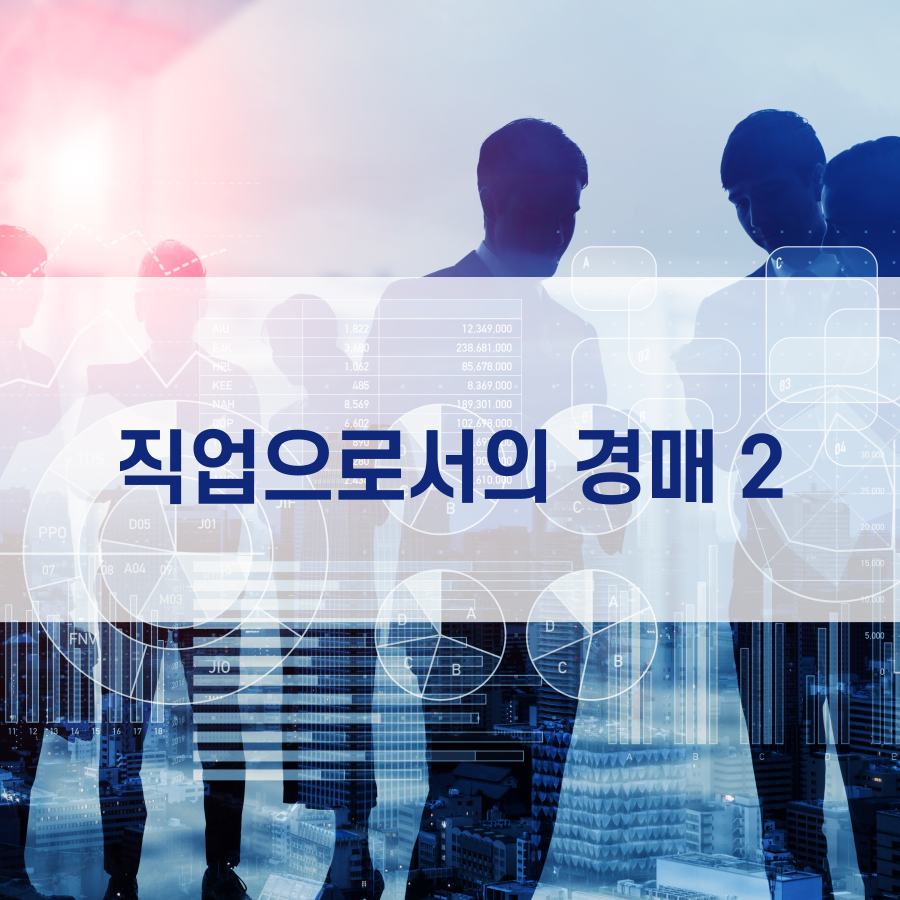  직업으로서의 경매와 경매 컨설팅업 2