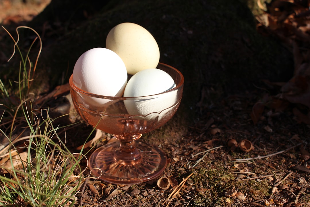quail eggs