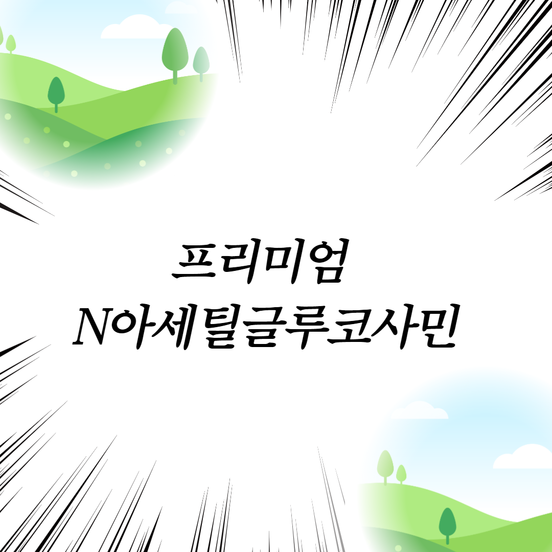  프리미엄 N아세틸글루코사민