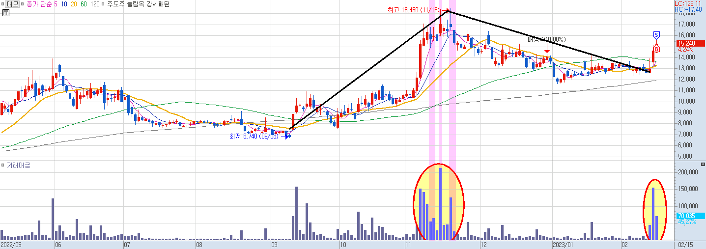 대모 일봉 일지 차트