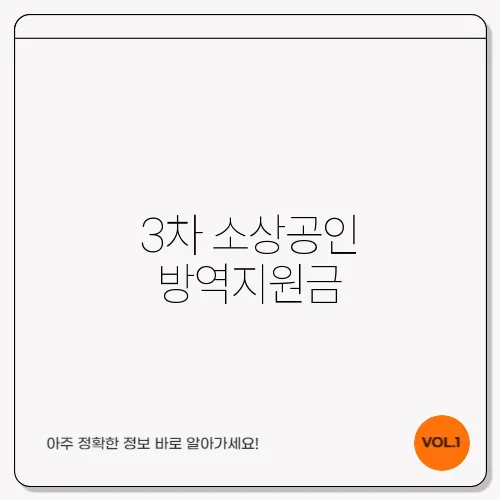 3차 소상공인 방역지원금