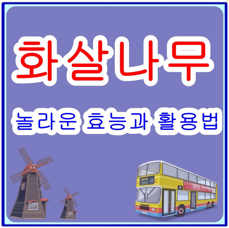 화살나무효능