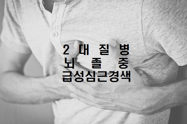 노다지네 잡학다식