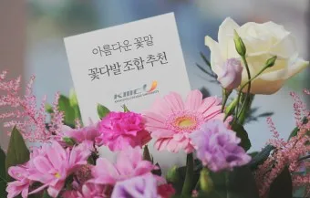 예쁜 꽃말 추천 모음 이해할수록 매력적인 꽃들의 꽃말 안내 모음_15