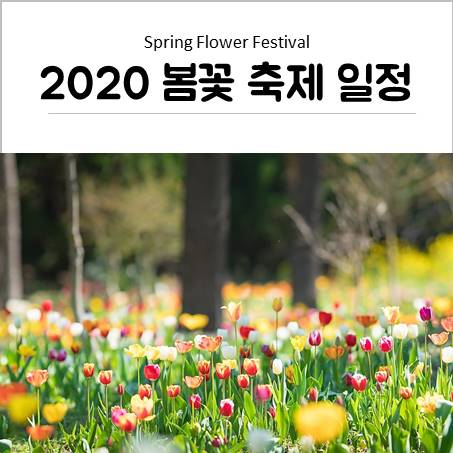  봄꽃 축제 일정과 봄꽃 축제하는 곳 전국 모음!
