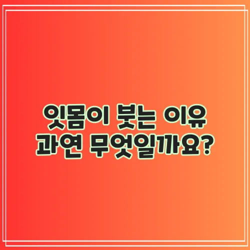 잇몸이 붓는 이유 과연 무엇일까요?