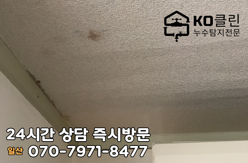 일산 고양동 식당 주방 누수2