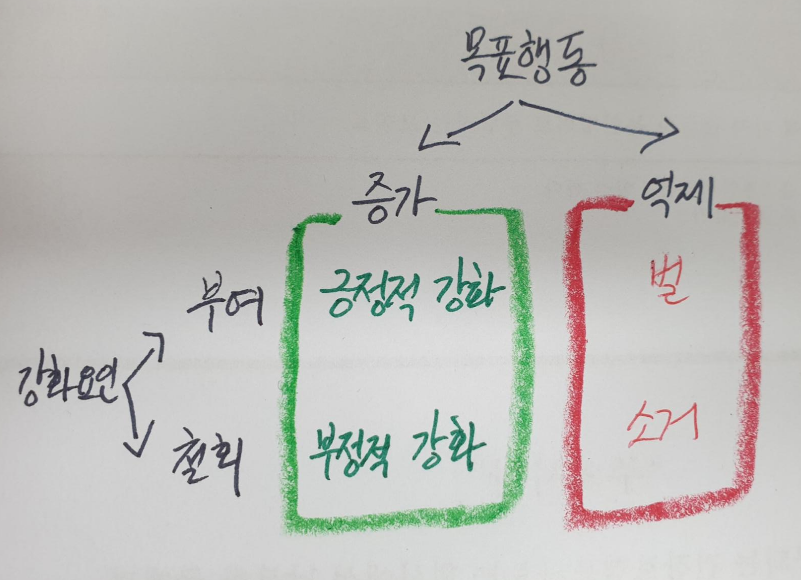  행태론적 학습이론