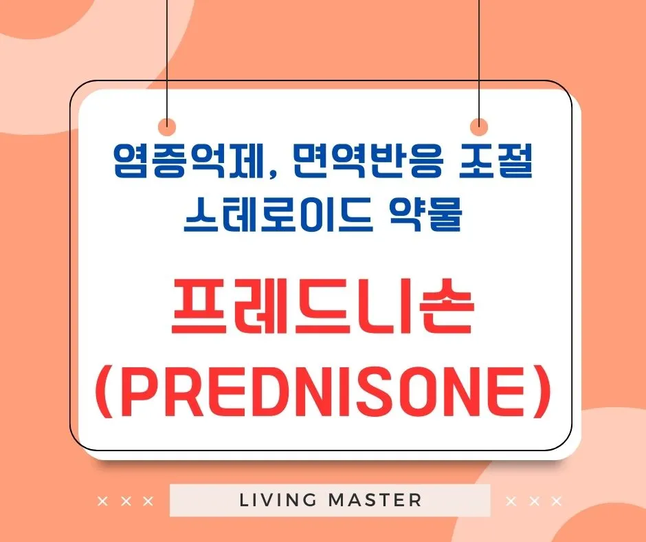 프레드니손(Prednisone)이란 무엇인가?