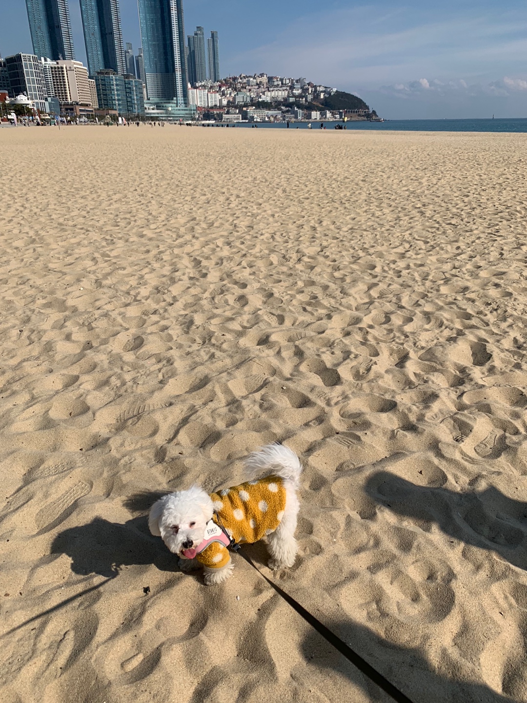 동구의 하이텐션 해운대 해수욕장 산책(10)