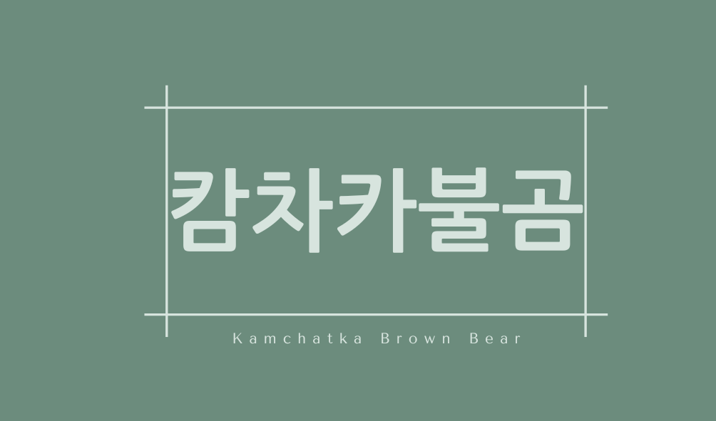 캄차카불곰(Kamchatka Brown Bear)