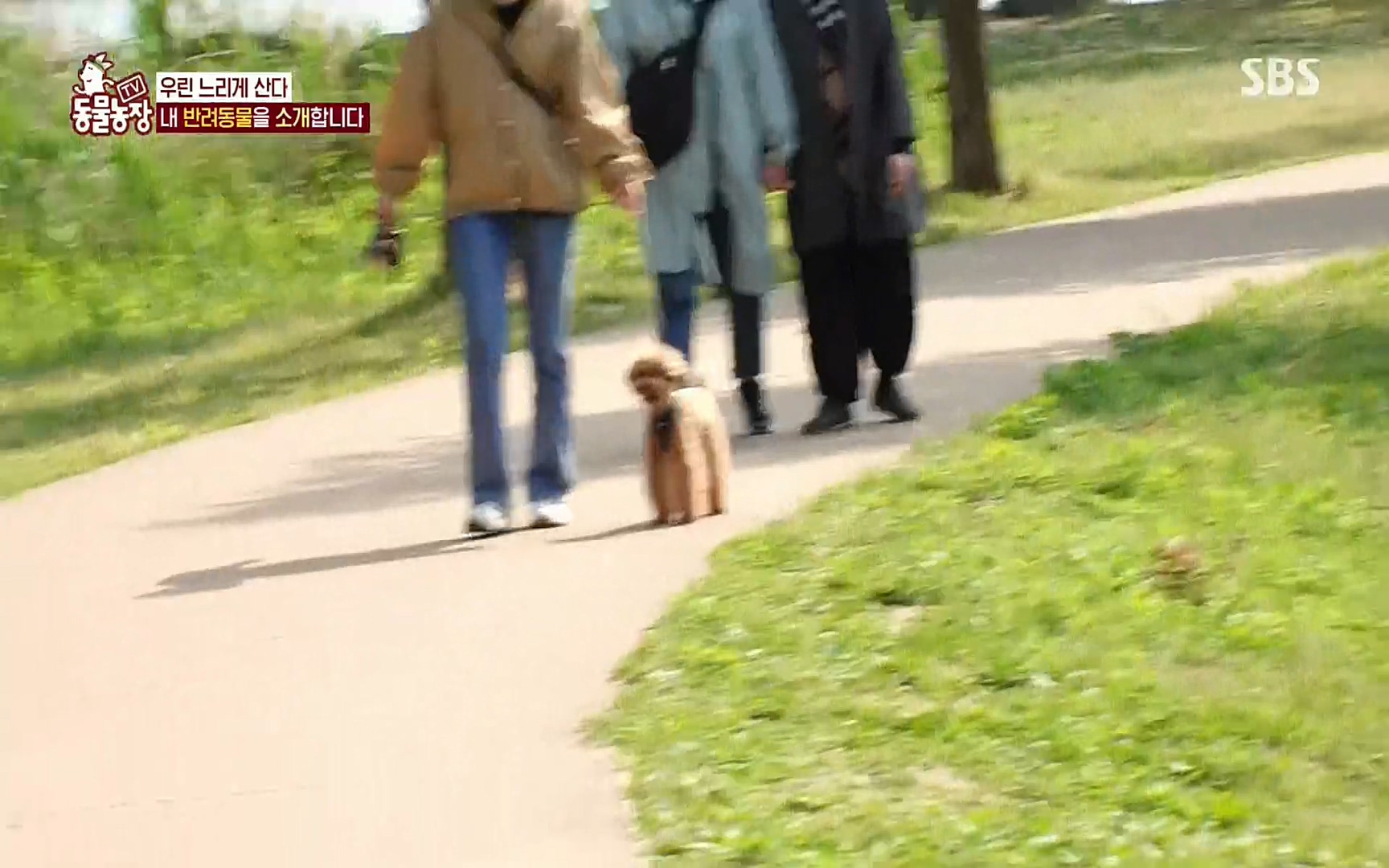 TV 동물농장.E1074.220619p.H264-F1RST.mp4_20220619_180854.638.jpg