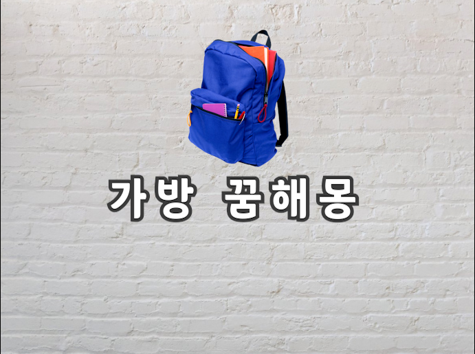  가방 꿈 정확한 가방 꿈해몽 보고가세요