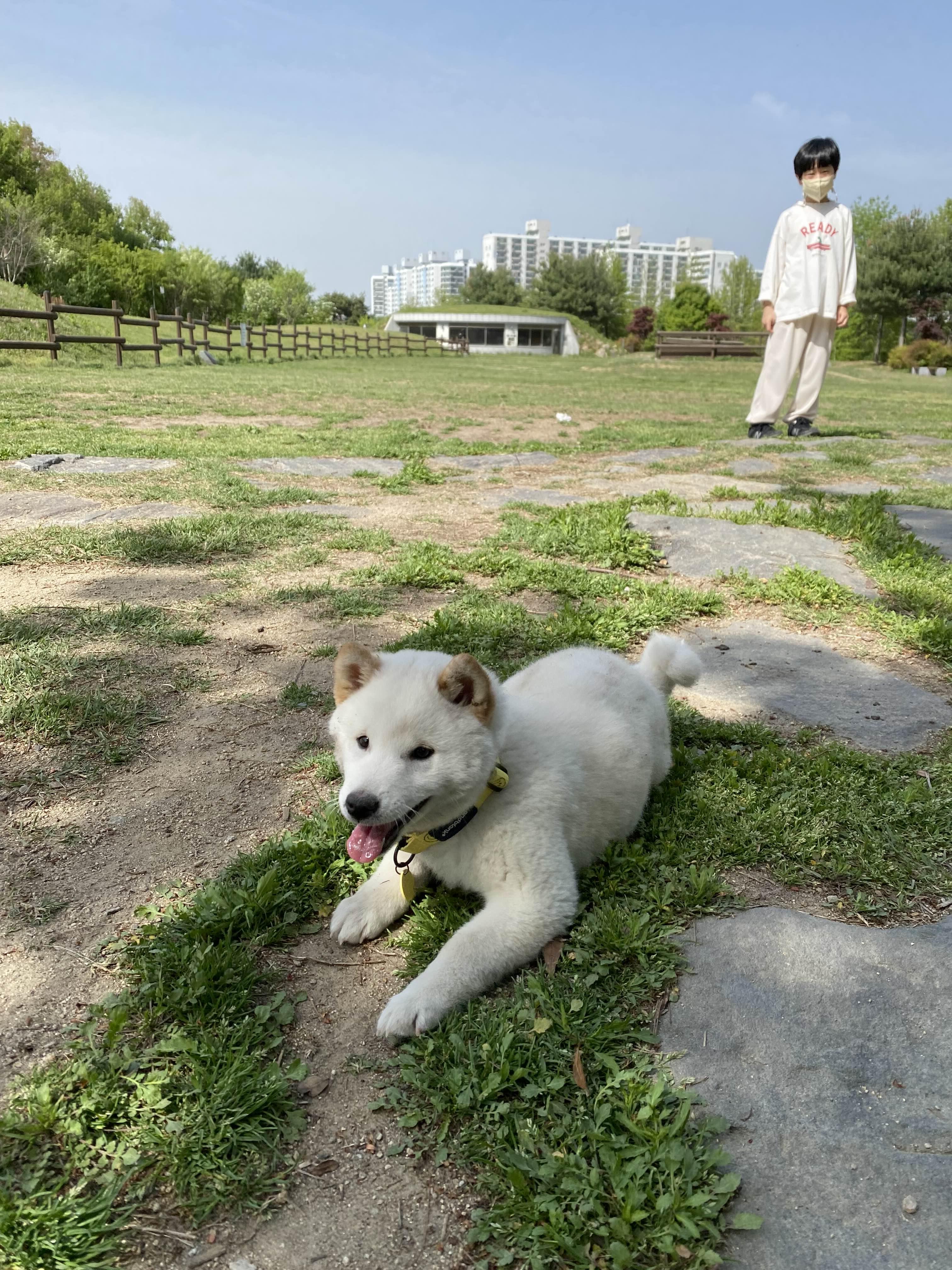 alt 태그