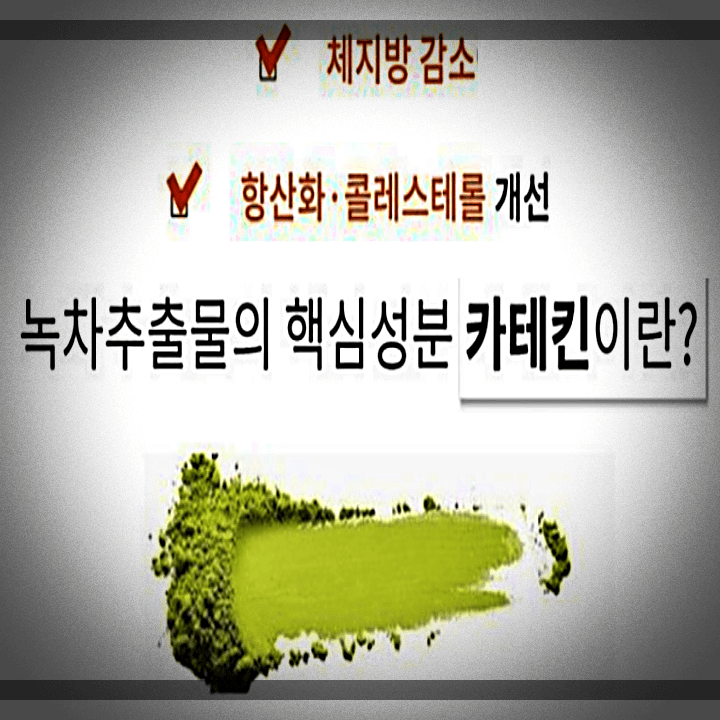 녹차추출물-핵심성분-카테킨-효과