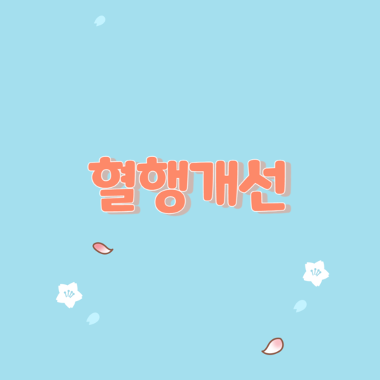  혈행의 개념과 혈행 개선을 위한 건강 보조 식품