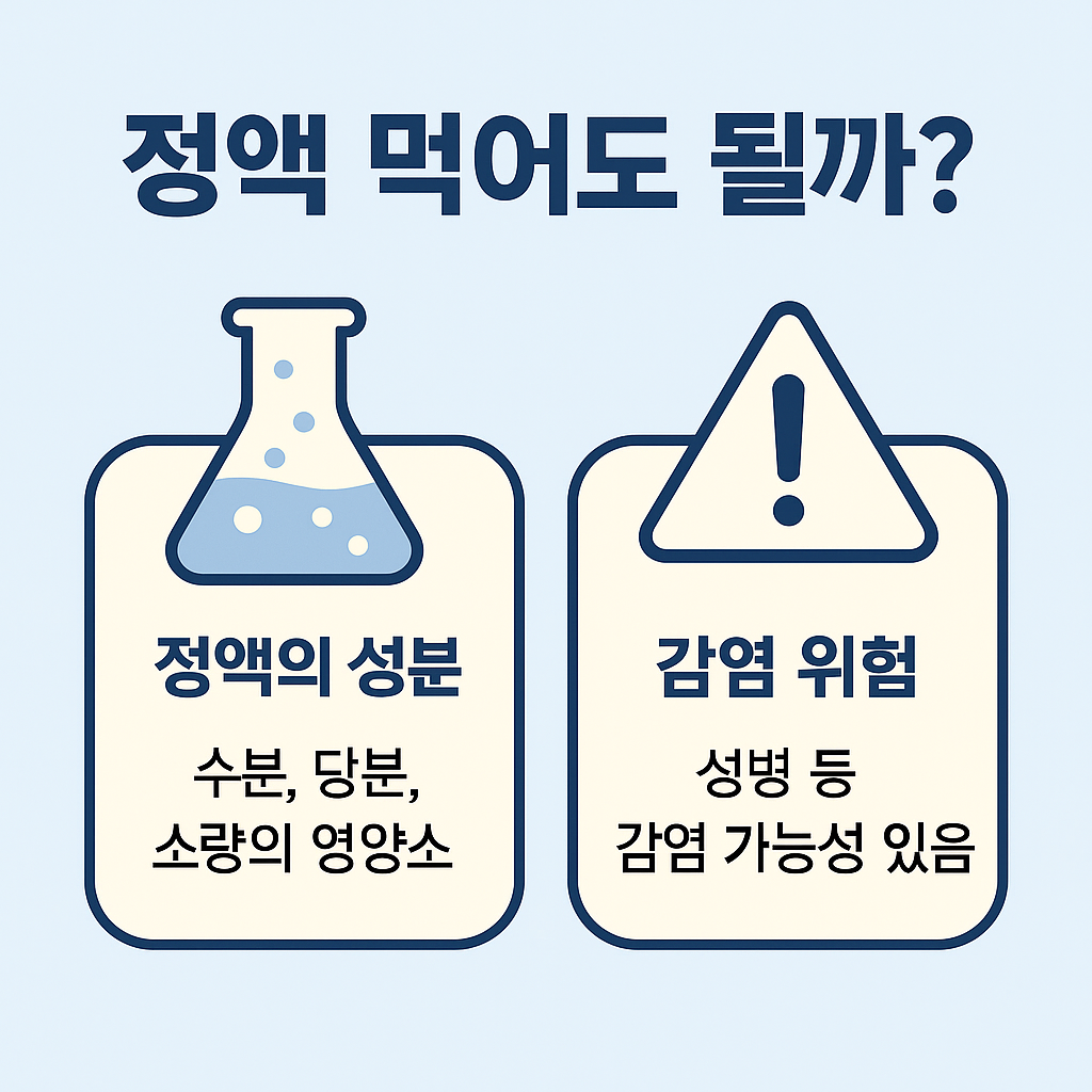 정액 먹어도 될까?라는 제목과 함께 정액의 성분과 감염 위험을 나눠 보여주는 인포그래픽 이미지