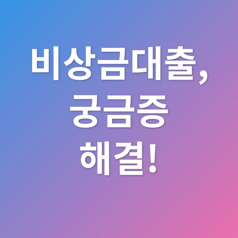 비상금대출_4