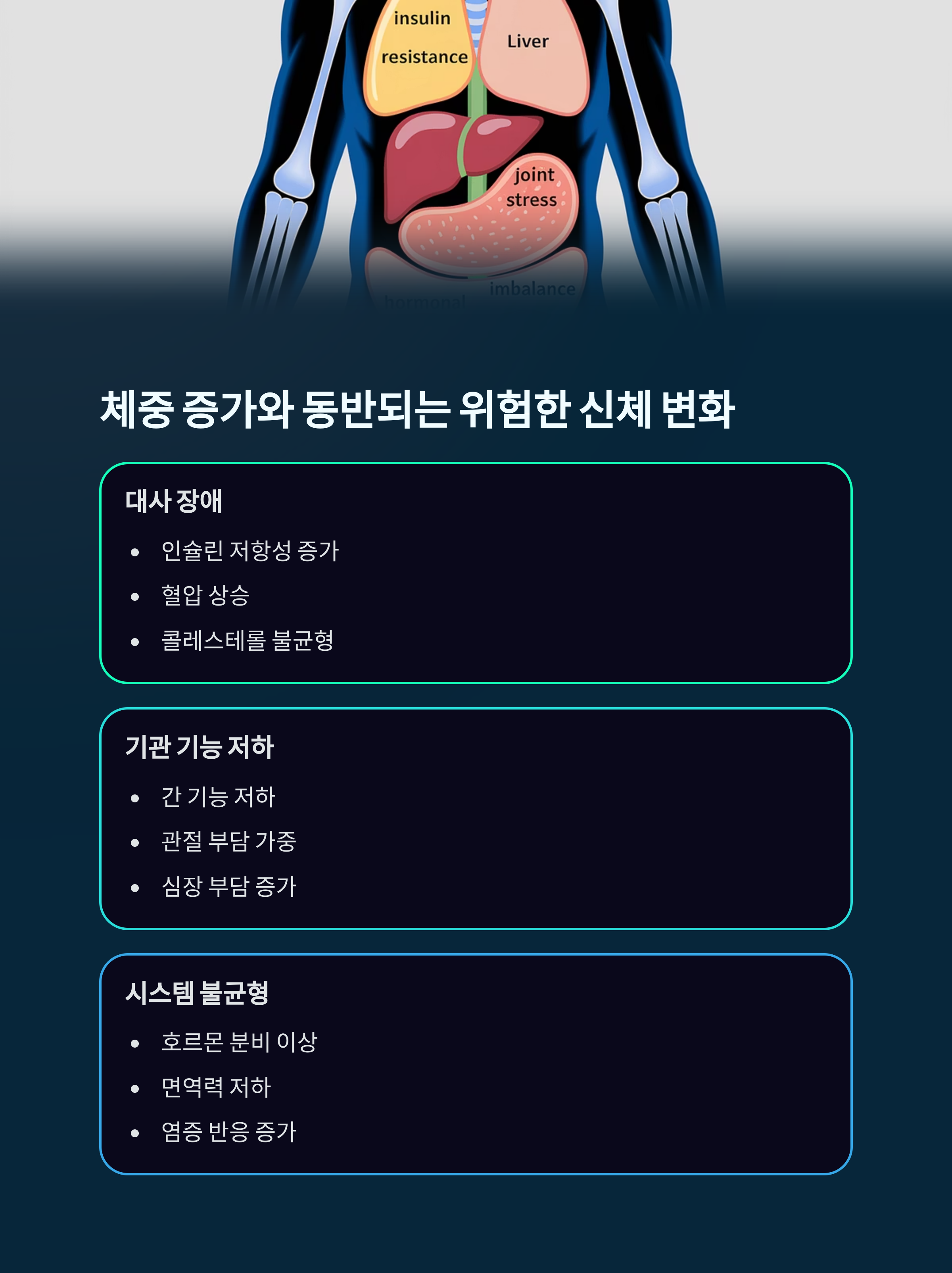비만, 단순한 체중이 아닌 건강의 적신호 - 비만이 보내는 건강 적신호 비만, 단순한 체중이 아닌 건강의 적신호 - 비만이 보내는 건강 적신호