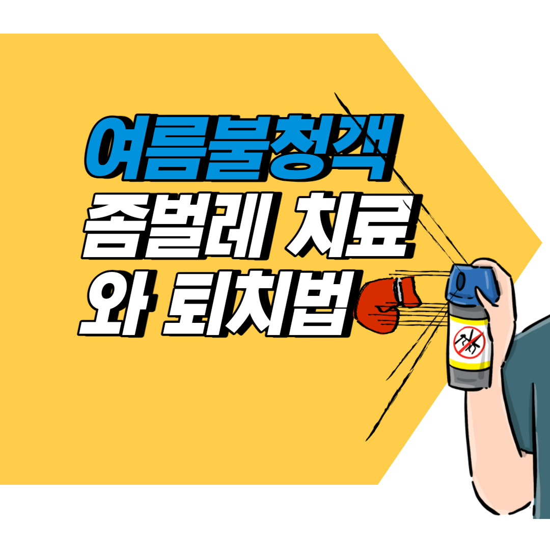  여름철 좀벌레 물린자국 치료와 퇴치법!  건강한 여름 보내기