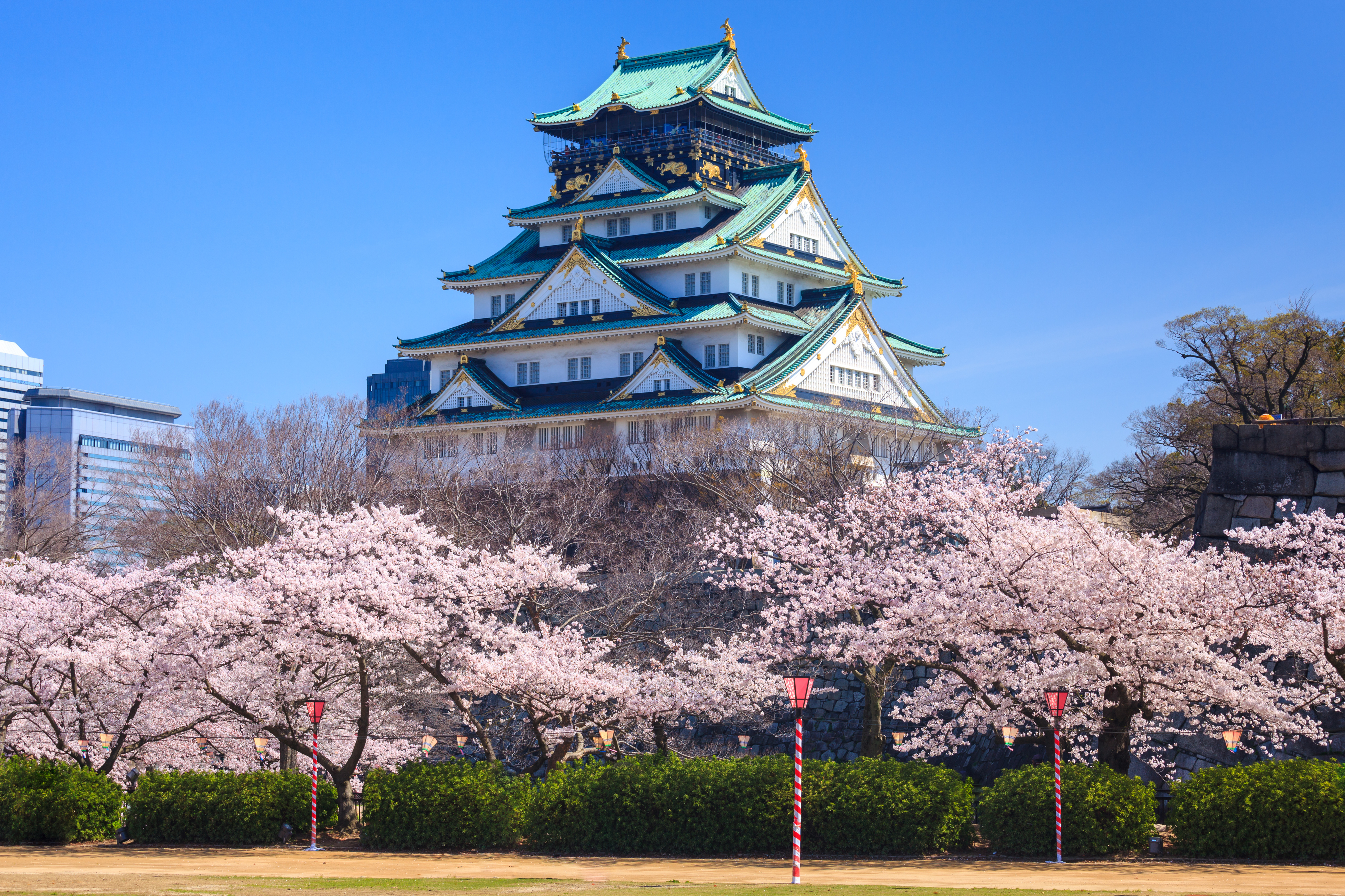 오사카성-벚꽃