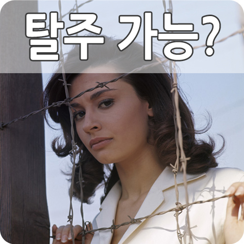  탈주특급 긴박감 넘치는 고전 영화