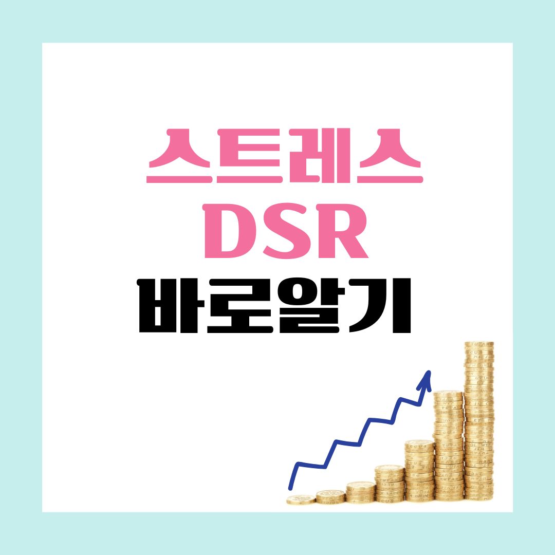 스트레스 DSR